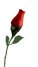 rosefcp.gif (9396 bytes)